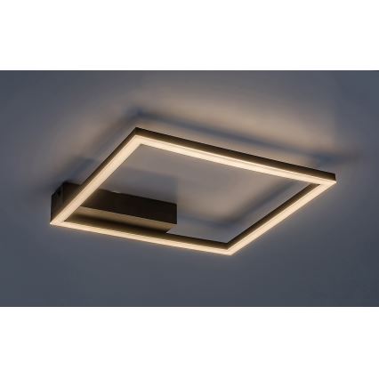 Rabalux - LED Stropna svjetiljka LED/24W/230V 3000K