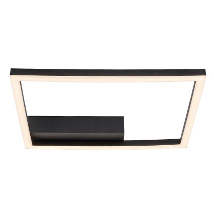 Rabalux - LED Stropna svjetiljka LED/24W/230V 3000K