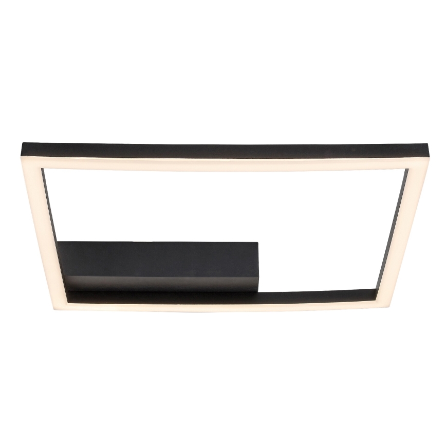 Rabalux - LED Stropna svjetiljka LED/24W/230V 3000K