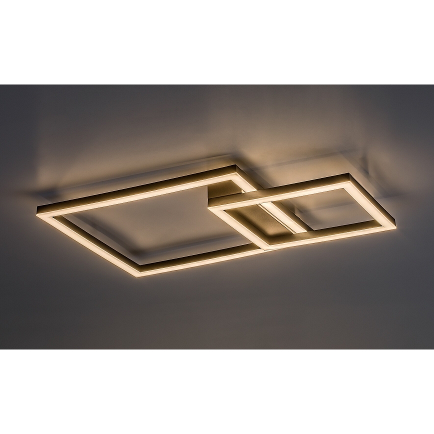 Rabalux - LED Stropna svjetiljka LED/24W/230V 3000K