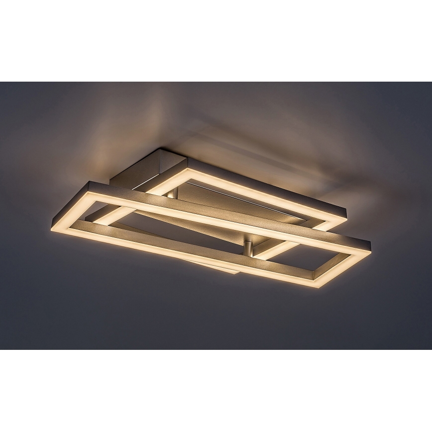 Rabalux - LED Stropna svjetiljka LED/24W/230V 3000K