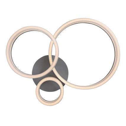 Rabalux - LED stropna svjetiljka LED/24W/230V 3000/4000/6500K 38x51 cm matirani krom