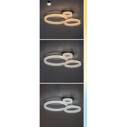 Rabalux - LED stropna svjetiljka LED/24W/230V 3000/4000/6500K 38x51 cm matirani krom