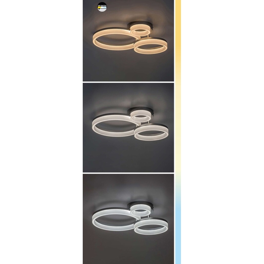 Rabalux - LED stropna svjetiljka LED/24W/230V 3000/4000/6500K 38x51 cm matirani krom