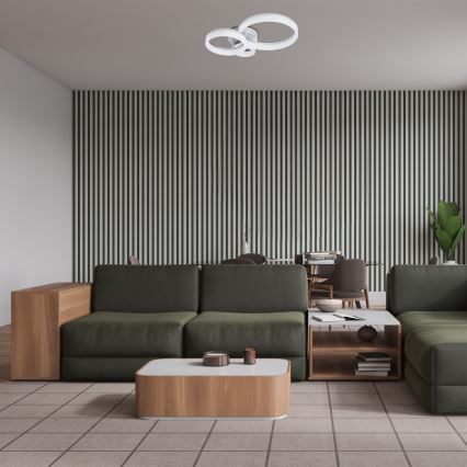 Rabalux - LED stropna svjetiljka LED/24W/230V 3000/4000/6500K 38x51 cm matni krom