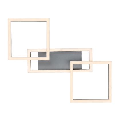 Rabalux - LED stropno svjetlo s mogućnošću prigušivanja LED/40W/230V 3000-6500K 45x55 cm + daljinski upravljač