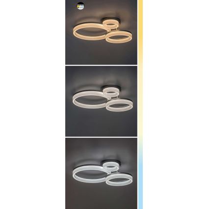 Rabalux - LED Stropna svjetiljka LED/24W/230V 3000/4000/6500K crna