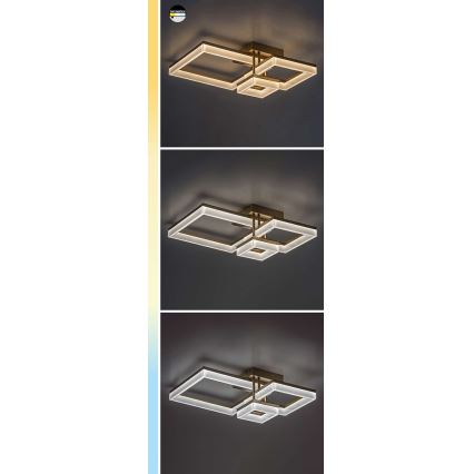Rabalux - LED Stropna svjetiljka LED/22W/230V 3000/4000/6500K mat krom