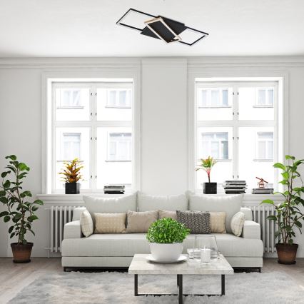 Rabalux - LED Prigušiva stropna svjetiljka LED/40W/230V 3000-6500K + daljinski upravljač