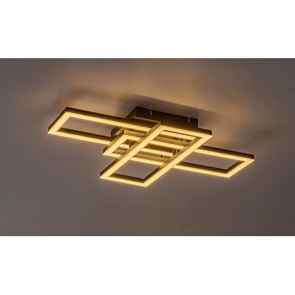 Rabalux - LED Prigušiva stropna svjetiljka LED/40W/230V 3000-6500K + daljinski upravljač
