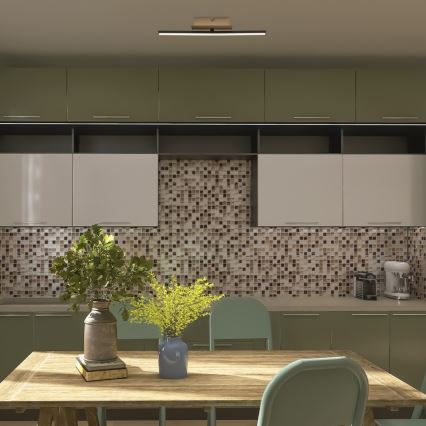 Rabalux - LED Stropna svjetiljka LED/8W/230V 4000K
