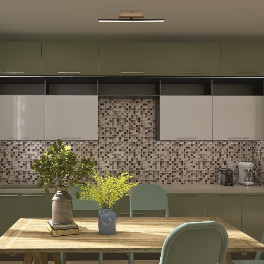 Rabalux - LED Stropna svjetiljka LED/8W/230V 4000K