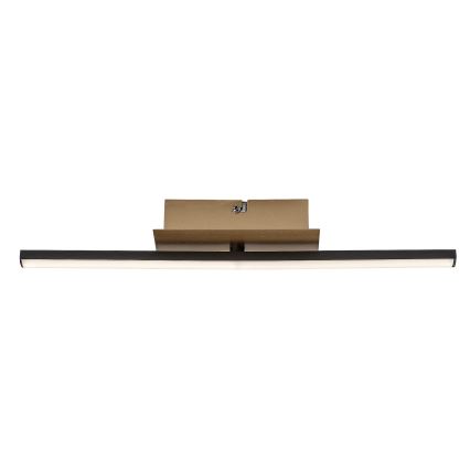 Rabalux - LED Stropna svjetiljka LED/8W/230V 4000K