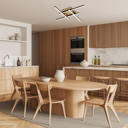 Rabalux - LED Stropna svjetiljka LED/24W/230V 4000K