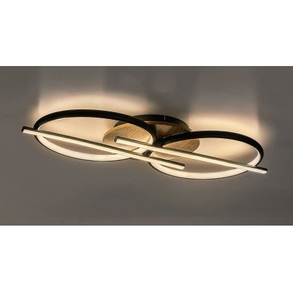Rabalux - LED Stropna svjetiljka LED/40W/230V 3000/4000/6500K