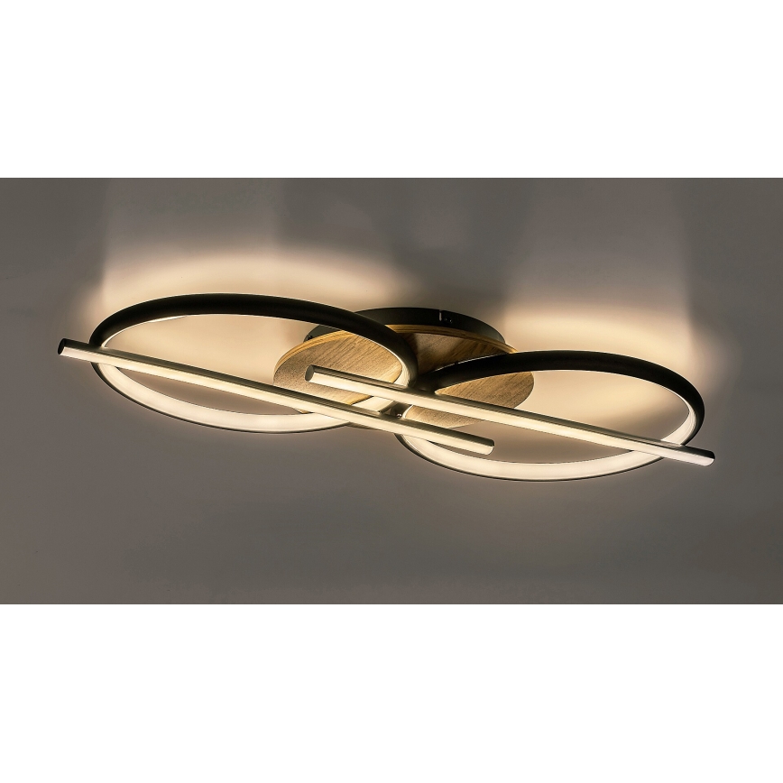 Rabalux - LED Stropna svjetiljka LED/40W/230V 3000/4000/6500K
