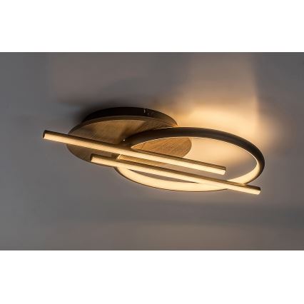 Rabalux - LED Stropna svjetiljka LED/40W/230V 3000/4000/6500K