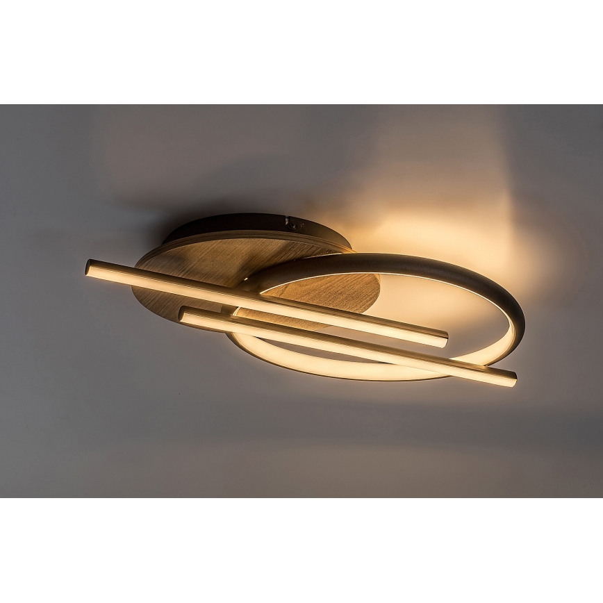 Rabalux - LED Stropna svjetiljka LED/40W/230V 3000/4000/6500K