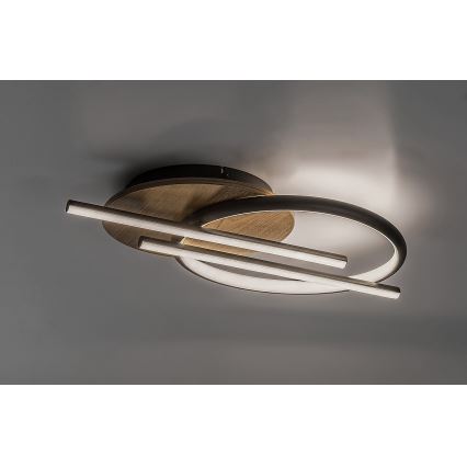 Rabalux - LED Stropna svjetiljka LED/40W/230V 3000/4000/6500K