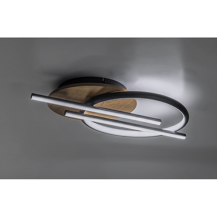 Rabalux - LED Stropna svjetiljka LED/40W/230V 3000/4000/6500K