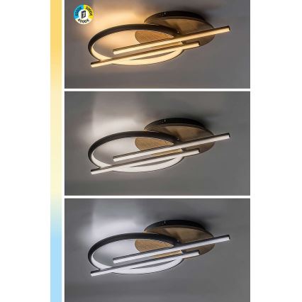 Rabalux - LED Stropna svjetiljka LED/40W/230V 3000/4000/6500K