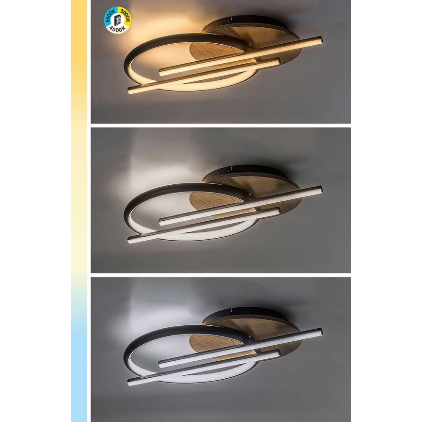 Rabalux - LED Stropna svjetiljka LED/40W/230V 3000/4000/6500K