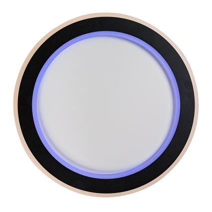 Rabalux - LED RGB Prigušiva stropna svjetiljka LED/22W/230V 3000-6500K + daljinski upravljač