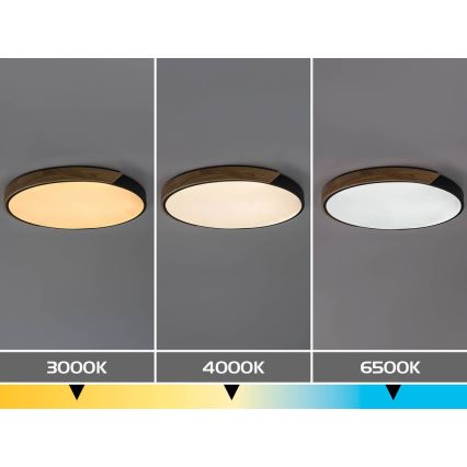 Rabalux - LED stropna svjetiljka LED/42W/230V 3000/4000/6500K crna/hrast Ø 61 cm