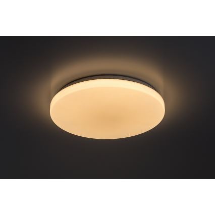 Rabalux - LED stropna svjetiljka s mogućnošću prigušivanja LED/60W/230V 3000-6500K promjer 58 cm + daljinski upravljač