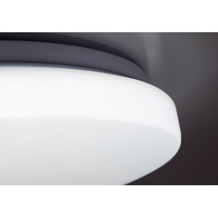 Rabalux - LED stropna svjetiljka s mogućnošću prigušivanja LED/60W/230V 3000-6500K promjer 58 cm + daljinski upravljač
