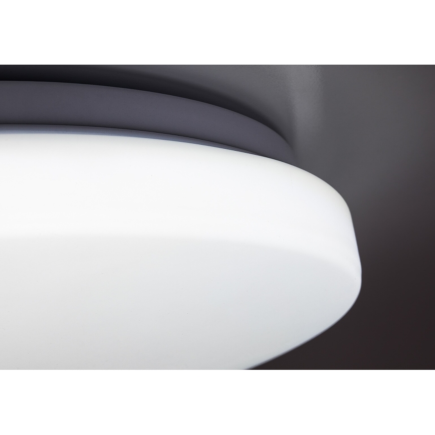 Rabalux - LED stropna svjetiljka s mogućnošću prigušivanja LED/60W/230V 3000-6500K promjer 58 cm + daljinski upravljač