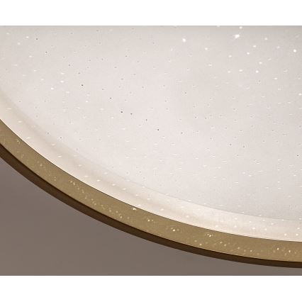 Rabalux - LED prigušivo stropno svjetlo LED/34W/230V 3000-6500K promjer 38 cm + daljinsko upravljanje