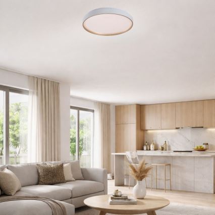 Rabalux - LED stropna svjetiljka s mogućnošću prigušivanja LED/60W/230V 3000-6500K Ø 58 cm + daljinski upravljač