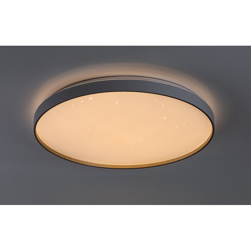Rabalux - LED stropna svjetiljka s mogućnošću prigušivanja LED/60W/230V 3000-6500K Ø 58 cm + daljinski upravljač
