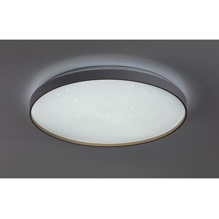 Rabalux - LED stropna svjetiljka s mogućnošću prigušivanja LED/60W/230V 3000-6500K Ø 58 cm + daljinski upravljač