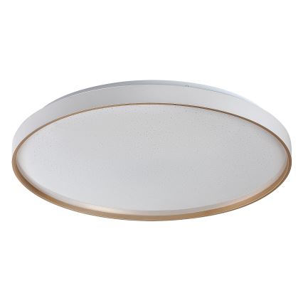 Rabalux - LED stropna svjetiljka s mogućnošću prigušivanja LED/60W/230V 3000-6500K Ø 58 cm + daljinski upravljač