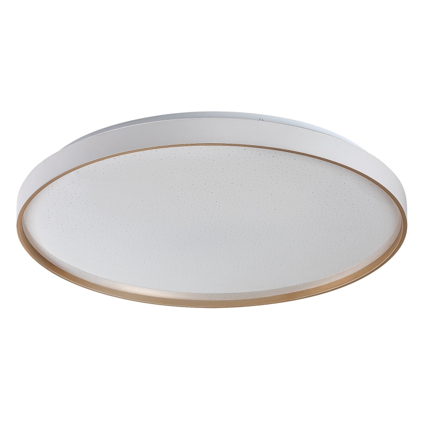 Rabalux - LED stropna svjetiljka s mogućnošću prigušivanja LED/60W/230V 3000-6500K Ø 58 cm + daljinski upravljač