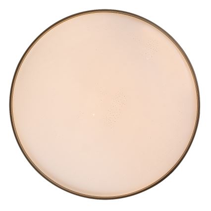 Rabalux - LED stropna svjetiljka s mogućnošću prigušivanja LED/60W/230V 3000-6500K Ø 58 cm + daljinski upravljač
