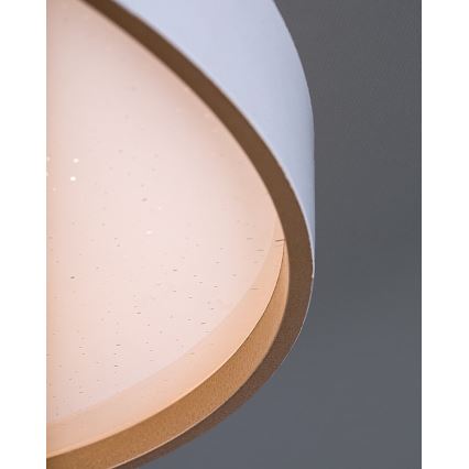 Rabalux - LED stropno svjetlo s prigušivanjem LED/80W/230V 3000-6500K promjer 77 cm + daljinski upravljač