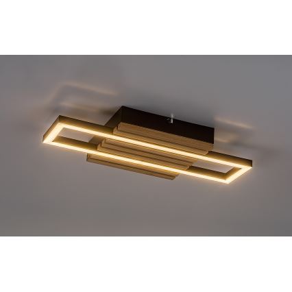 Rabalux - LED stropna svjetiljka LED/12W/230V 3000/4500/6000K