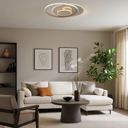 Rabalux - LED prigušivo stropno svjetlo LED/57W/230V 3000-6000K 48,5x40 cm + daljinski upravljač
