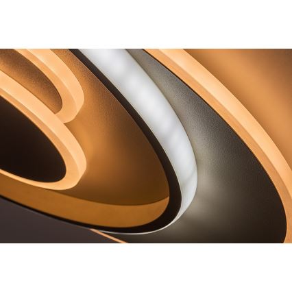 Rabalux - LED prigušivo stropno svjetlo LED/57W/230V 3000-6000K 48,5x40 cm + daljinski upravljač
