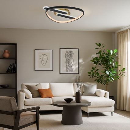 Rabalux - LED stropno svjetlo s mogućnošću prigušivanja LED/60W/230V 3000-6000K 53x45 cm + daljinski upravljač