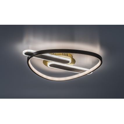 Rabalux - LED stropno svjetlo s mogućnošću prigušivanja LED/60W/230V 3000-6000K 53x45 cm + daljinski upravljač