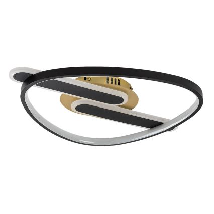 Rabalux - LED stropno svjetlo s mogućnošću prigušivanja LED/60W/230V 3000-6000K 53x45 cm + daljinski upravljač
