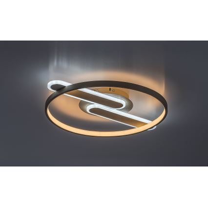 Rabalux - prigušivačka LED stropna svjetiljka LED/55W/230V 3000-6000K 53x45 cm + daljinski upravljač