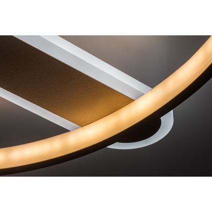 Rabalux - prigušivačka LED stropna svjetiljka LED/55W/230V 3000-6000K 53x45 cm + daljinski upravljač