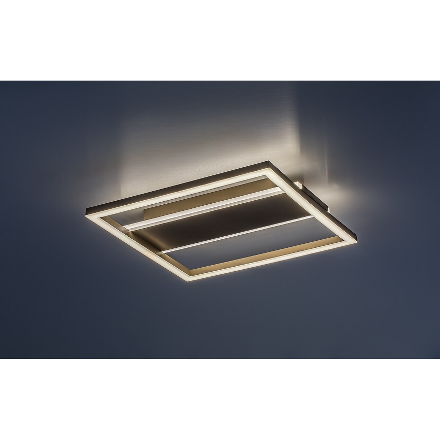 Rabalux - LED stropna svjetiljka LED/24W/230V 33x33 cm