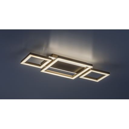 Rabalux - LED stropna svjetiljka LED/24W/230V 51,5x22 cm