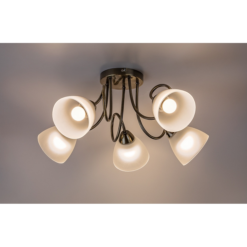 Rabalux - Stropni luster za površinsku montažu 5xE27/60W/230V